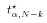 $t^\star_{\alpha,N-k}$