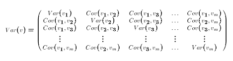 $$Var(v) = \pmatrix{ Var(v_1) & Cov(v_1,v_2) & Cov(v_1,v_3) &\dots &Cov(v_1,v_m)\cr Cov(v_1,v_2) & Var(v_2) & Cov(v_2,v_3) &\dots &Cov(v_2,v_m)\cr Cov(v_1,v_3) & Cov(v_2,v_3) & Var(v_3) &\dots &Cov(v_3,v_m)\cr \vdots &\vdots &\vdots & \vdots &\vdots\cr Cov(v_1,v_m) & Cov(v_2,v_m) & Cov(v_3,v_m) &\dots &Var(v_m)} $$